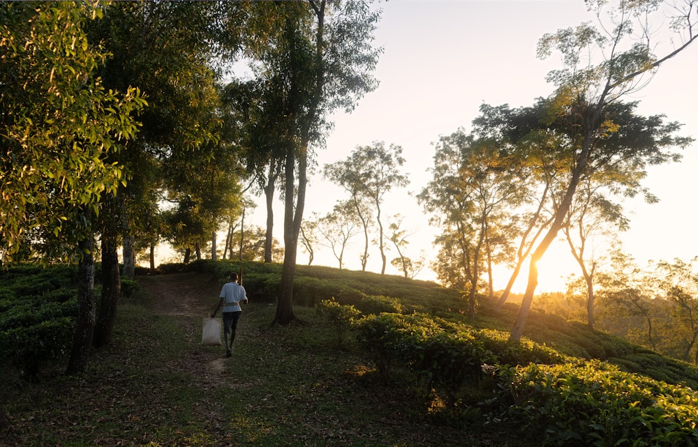 a person walking down a path in the woods