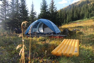 A blue tent is set up in a grassy area surrounded by tall pine trees and rolling hills. In the foreground, there is a yellow inflatable sleeping pad. Sunlight filters through the trees, casting soft light on the camping setup, creating a peaceful outdoor atmosphere.