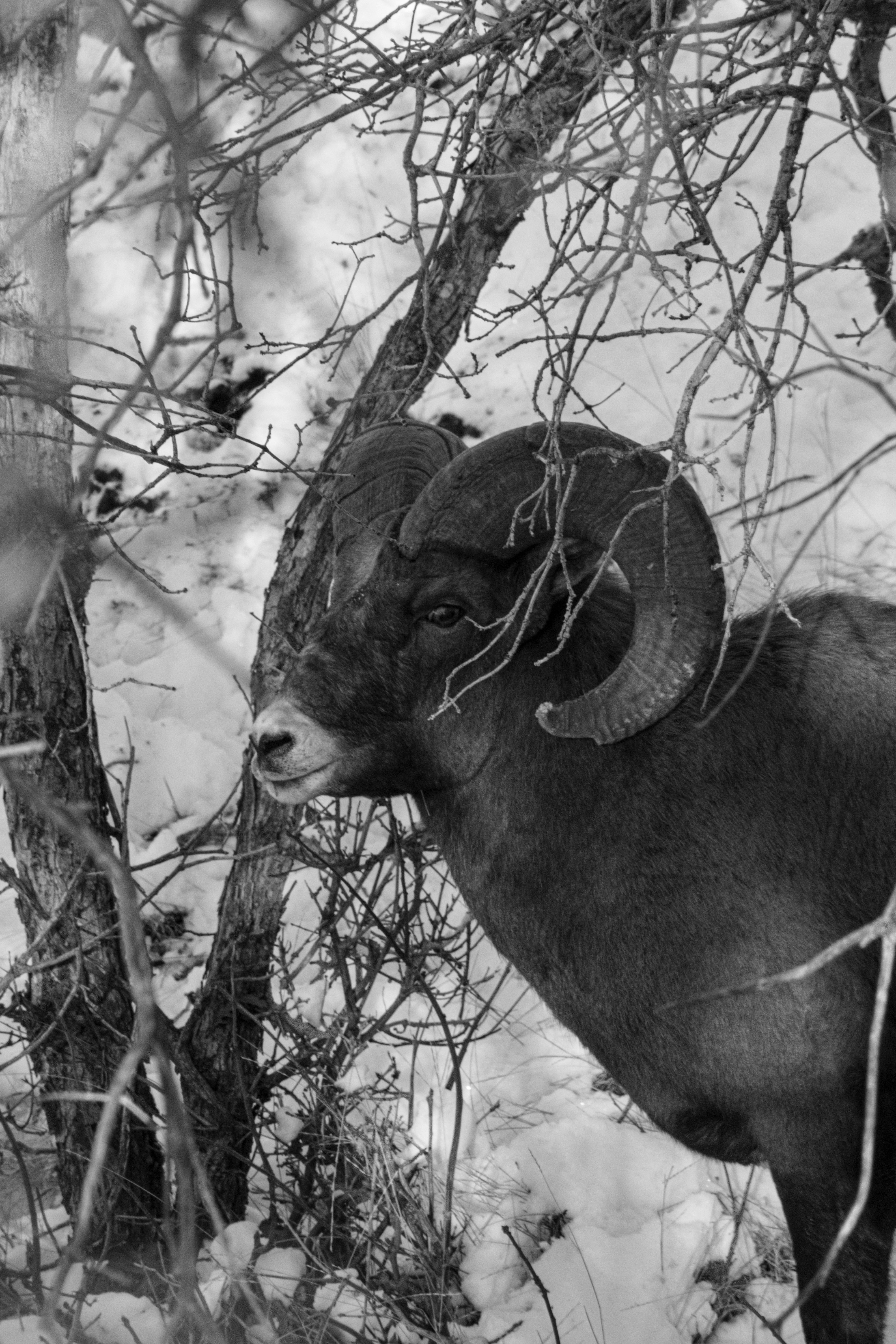 Photo by judd_nichols