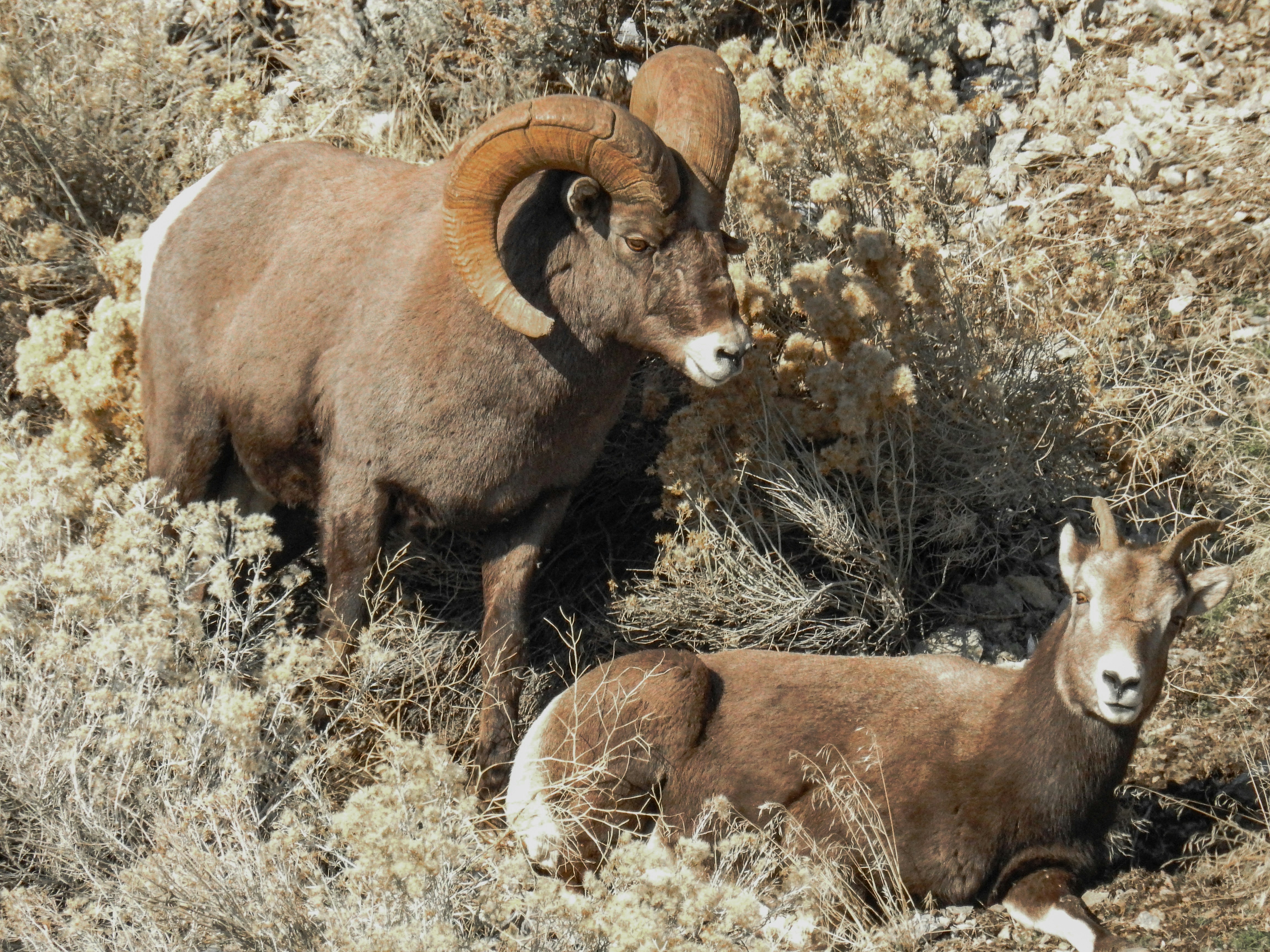 Photo by judd_nichols