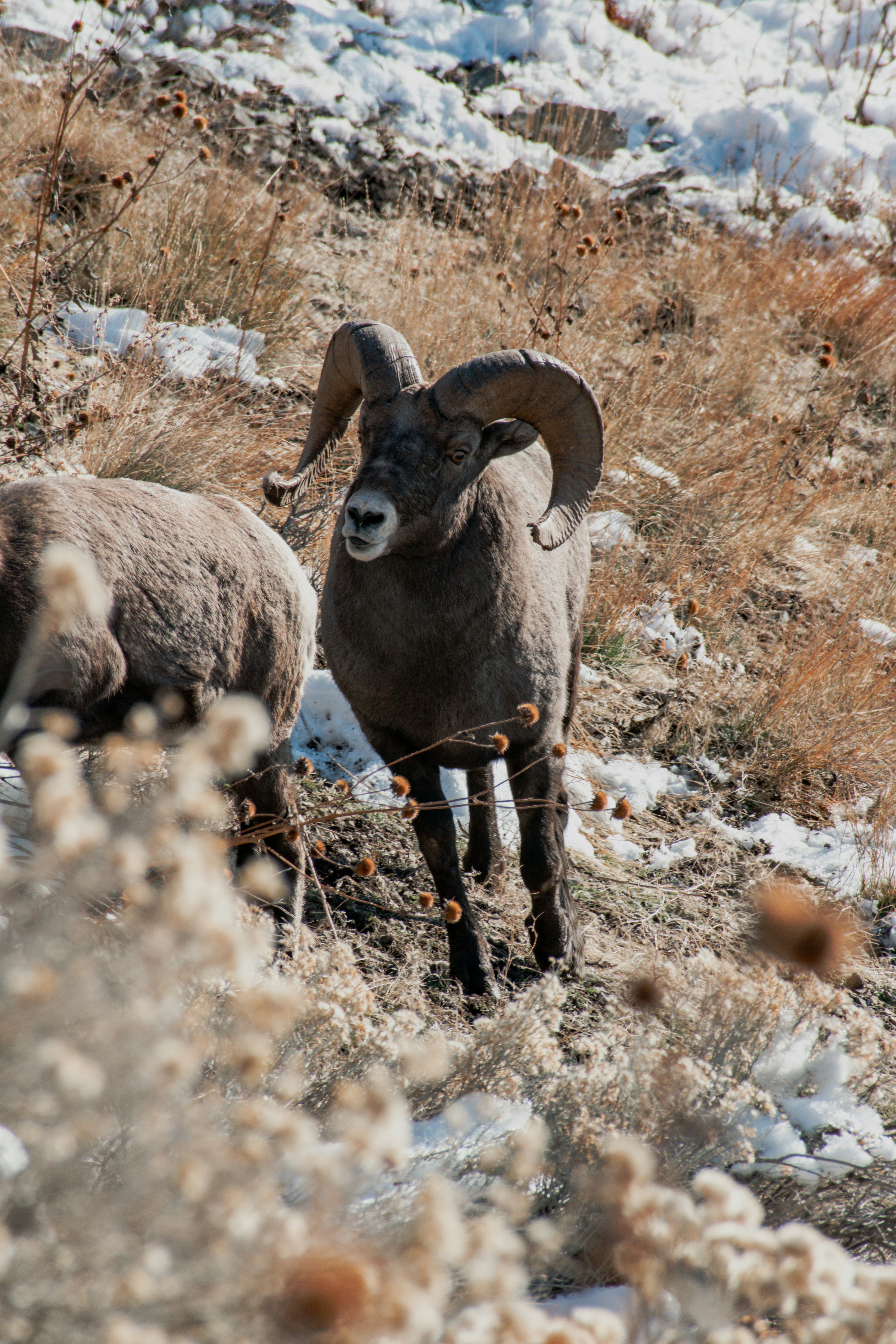 Photo by judd_nichols