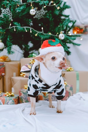 A small dog wearing a black and white cow-patterned costume and a red and green Santa hat stands in front of a decorated Christmas tree. Several wrapped gifts with ribbons and bows are placed on the floor around the dog. The scene is festive with holiday decorations including ornaments and snowflake designs on the tree.