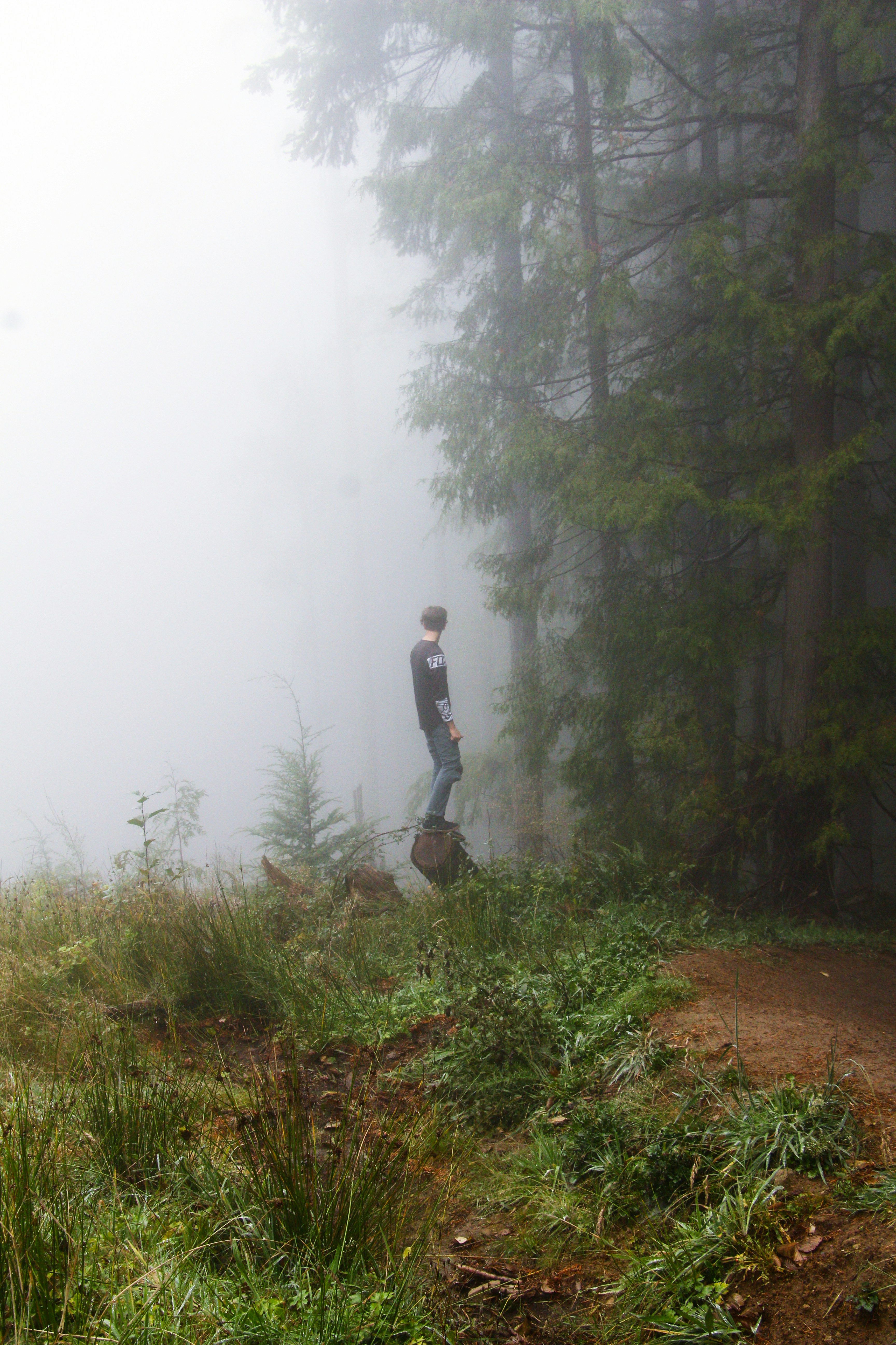 a man standing on top of a lush green forest
