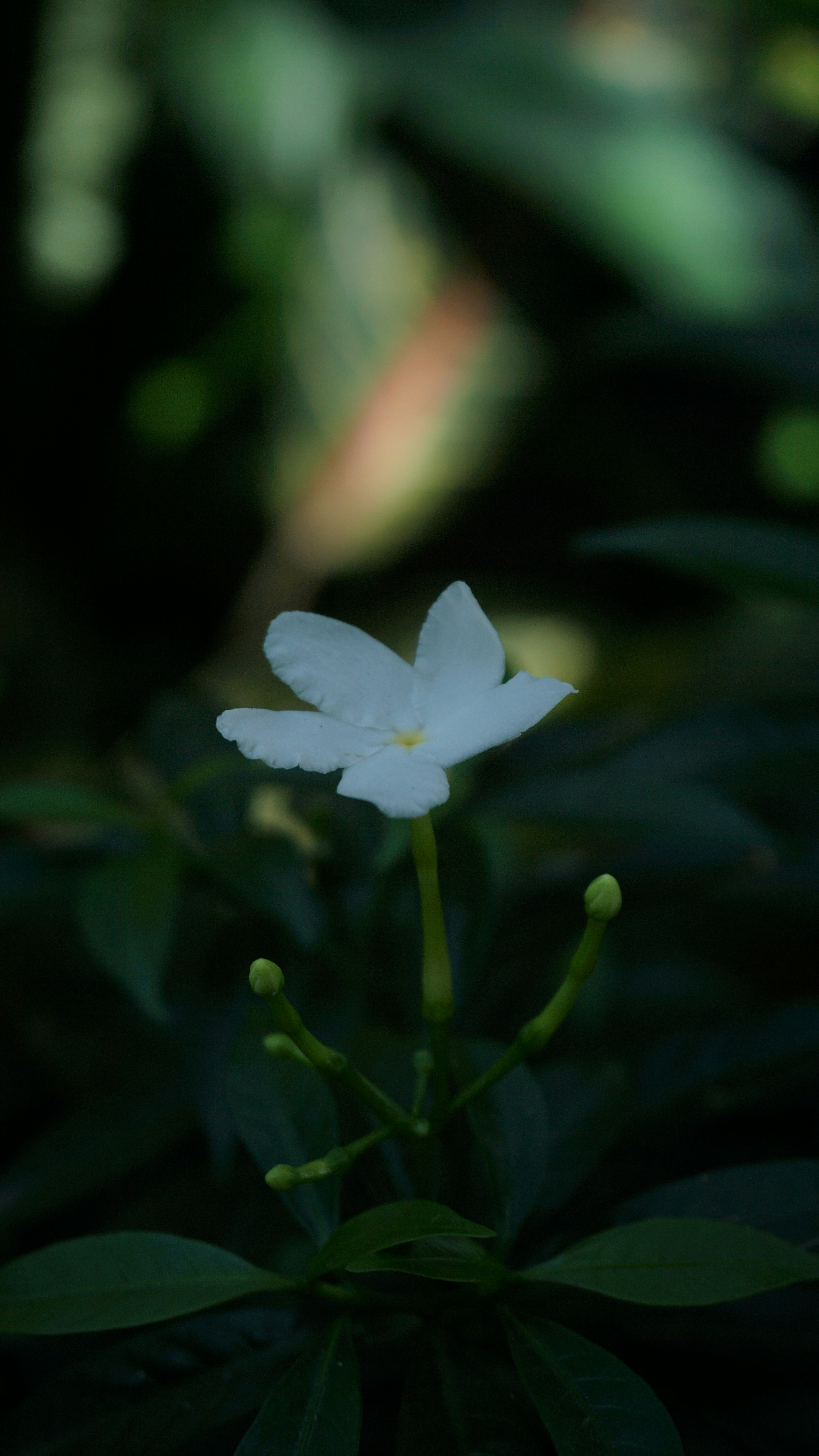 Photo by dery2antuary