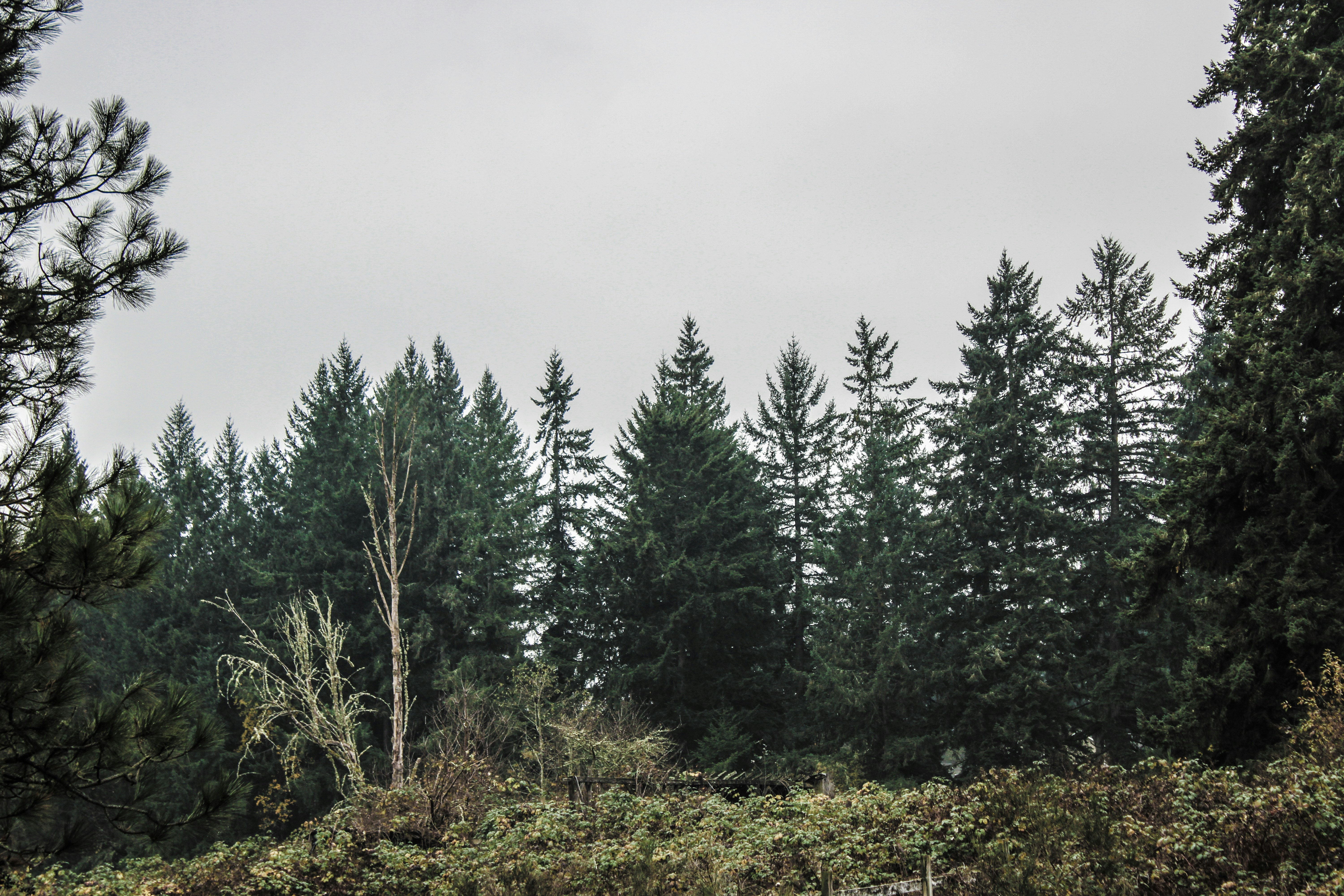 Photo by prphotography262