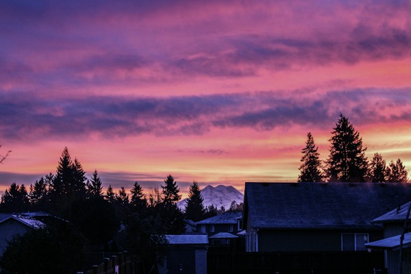 A picturesque sunset casts vibrant hues of pink and purple across the sky above a suburban neighborhood. Tall pine trees silhouette against the colorful horizon, with snow-capped mountains visible in the distance. Roofs of houses are visible in the foreground, creating a serene and peaceful atmosphere.