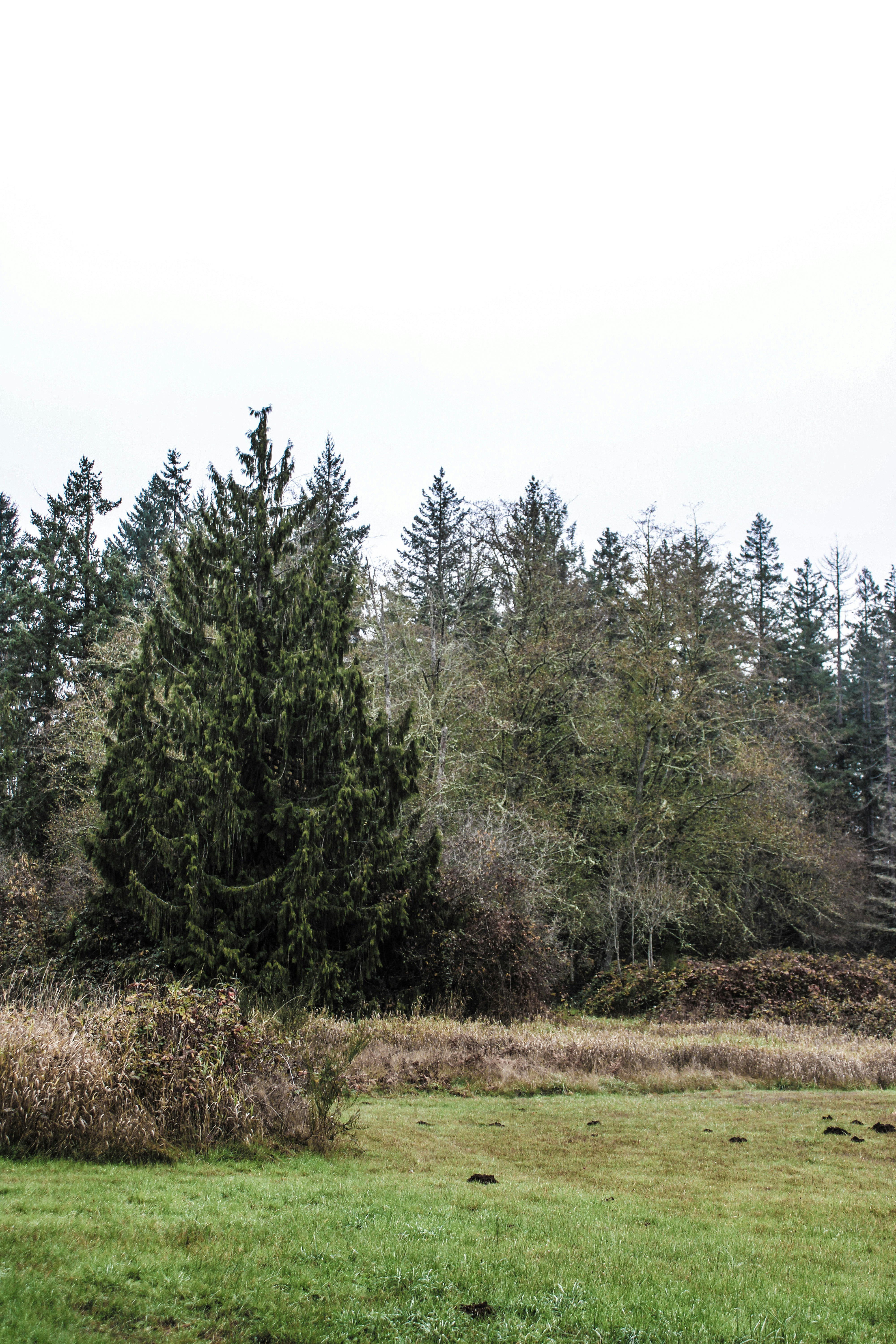 Photo by prphotography262