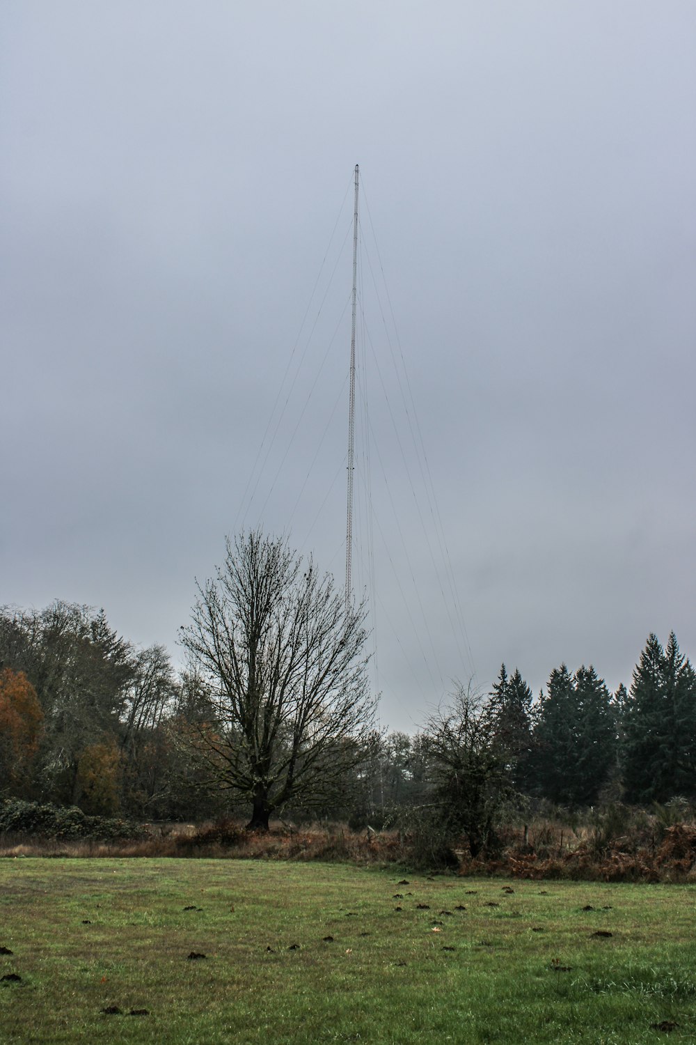 a very tall mast in the middle of a field