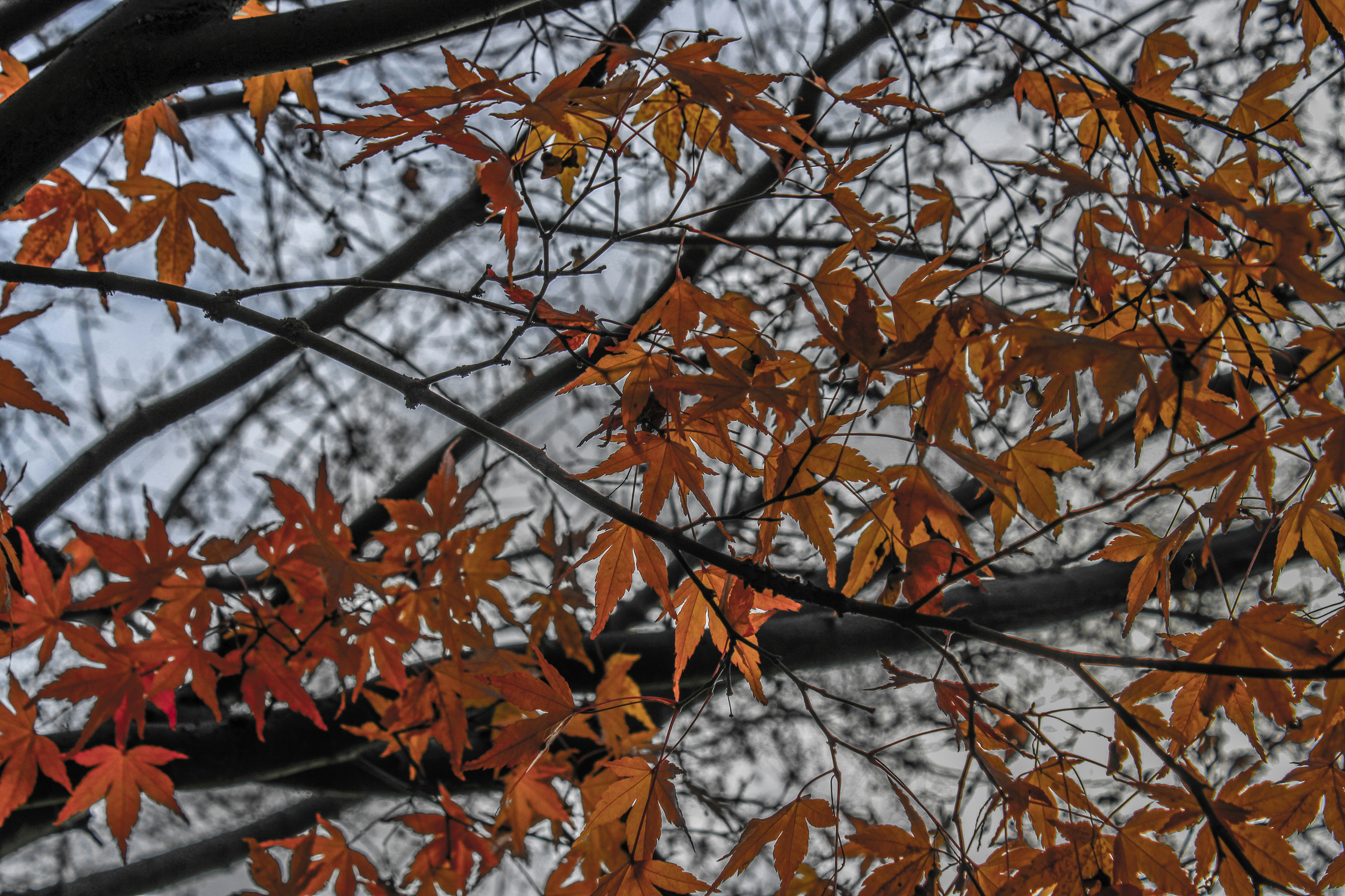 Photo by prphotography262