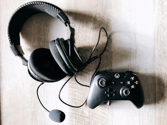 A professional gaming headset with cushioned ear cups and mic