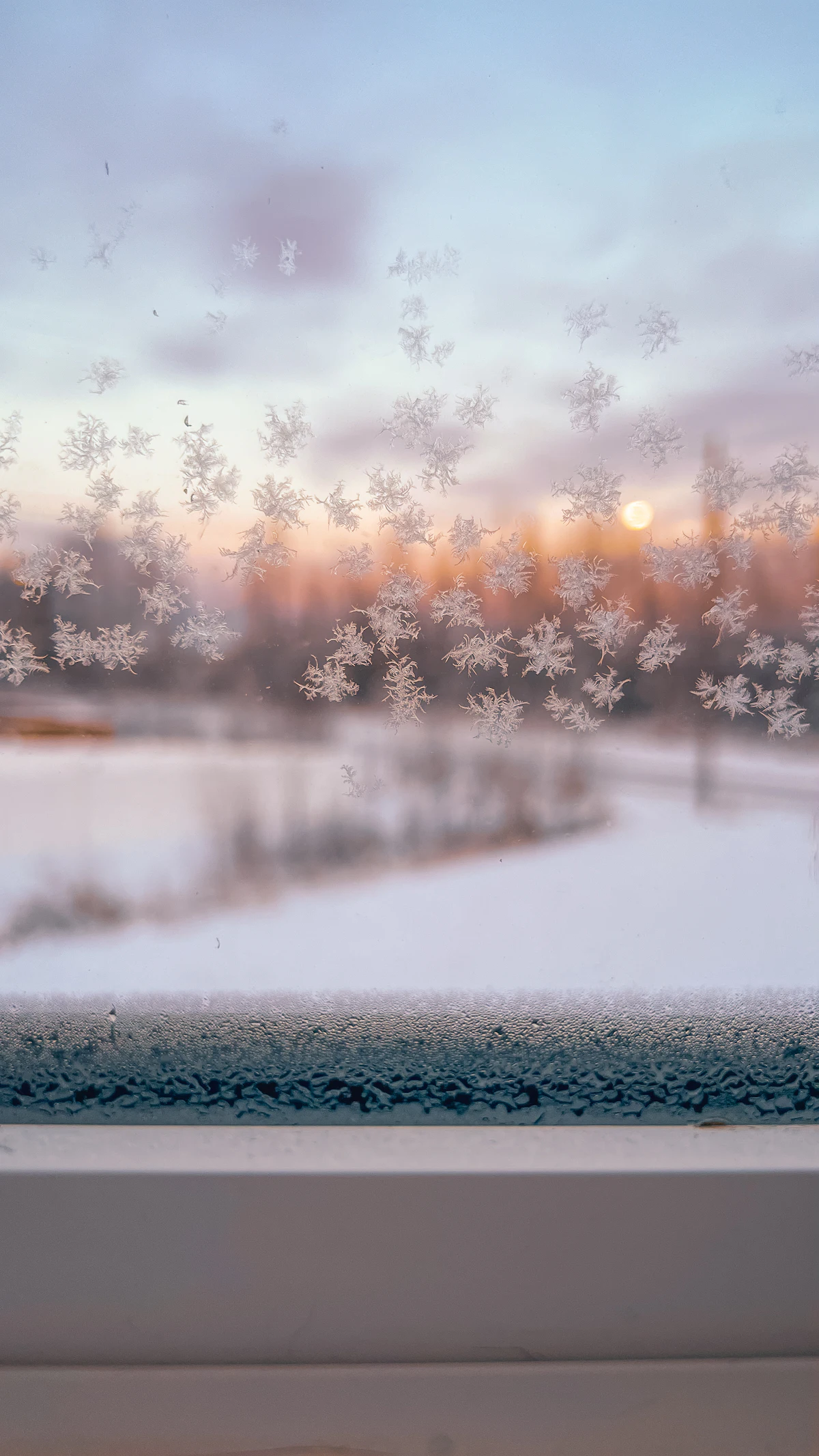 Snowy landscape seen through a window