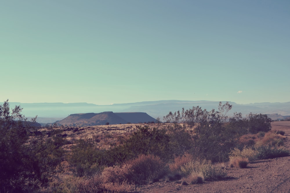 a dirt road in the desert with mountains in the background