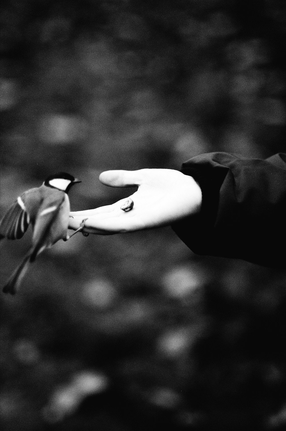 a black and white photo of a person holding a bird
