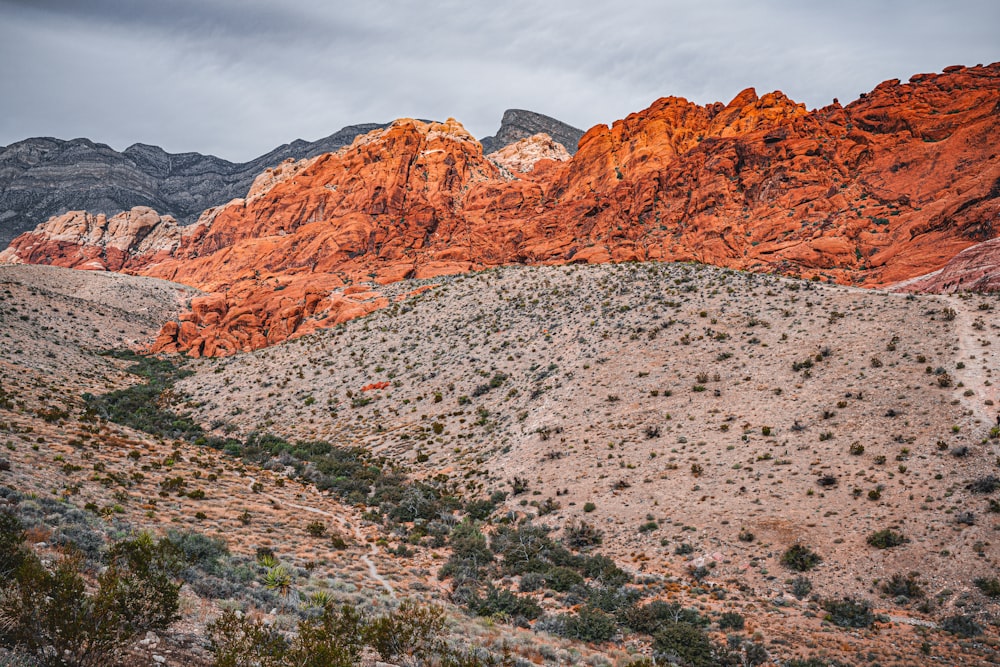 a mountain range with a few trees in the foreground