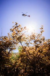 Technician inspecting a helicopter engine outdoors with clear blue sky.