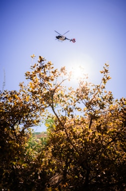 A technician inspecting a helicopter engine outdoors on a sunny day.