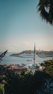 A scenic view of a coastal city with a prominent mosque in the foreground. The skyline includes a large cruise ship on the water, and a mix of historic and modern buildings. Lush greenery and palm fronds frame the scene.
