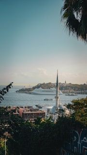 A scenic view of a coastal city with a prominent mosque in the foreground. The skyline includes a large cruise ship on the water, and a mix of historic and modern buildings. Lush greenery and palm fronds frame the scene.