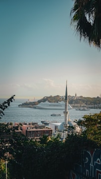 A scenic view of a coastal city with a prominent mosque in the foreground. The skyline includes a large cruise ship on the water, and a mix of historic and modern buildings. Lush greenery and palm fronds frame the scene.