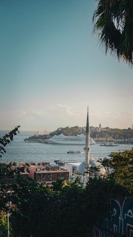 A scenic view of a coastal city with a prominent mosque in the foreground. The skyline includes a large cruise ship on the water, and a mix of historic and modern buildings. Lush greenery and palm fronds frame the scene.