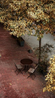 A cozy home garden with a small wooden table and chairs under a leafy tree.