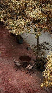 A cozy home garden with a small wooden table and chairs under a leafy tree.