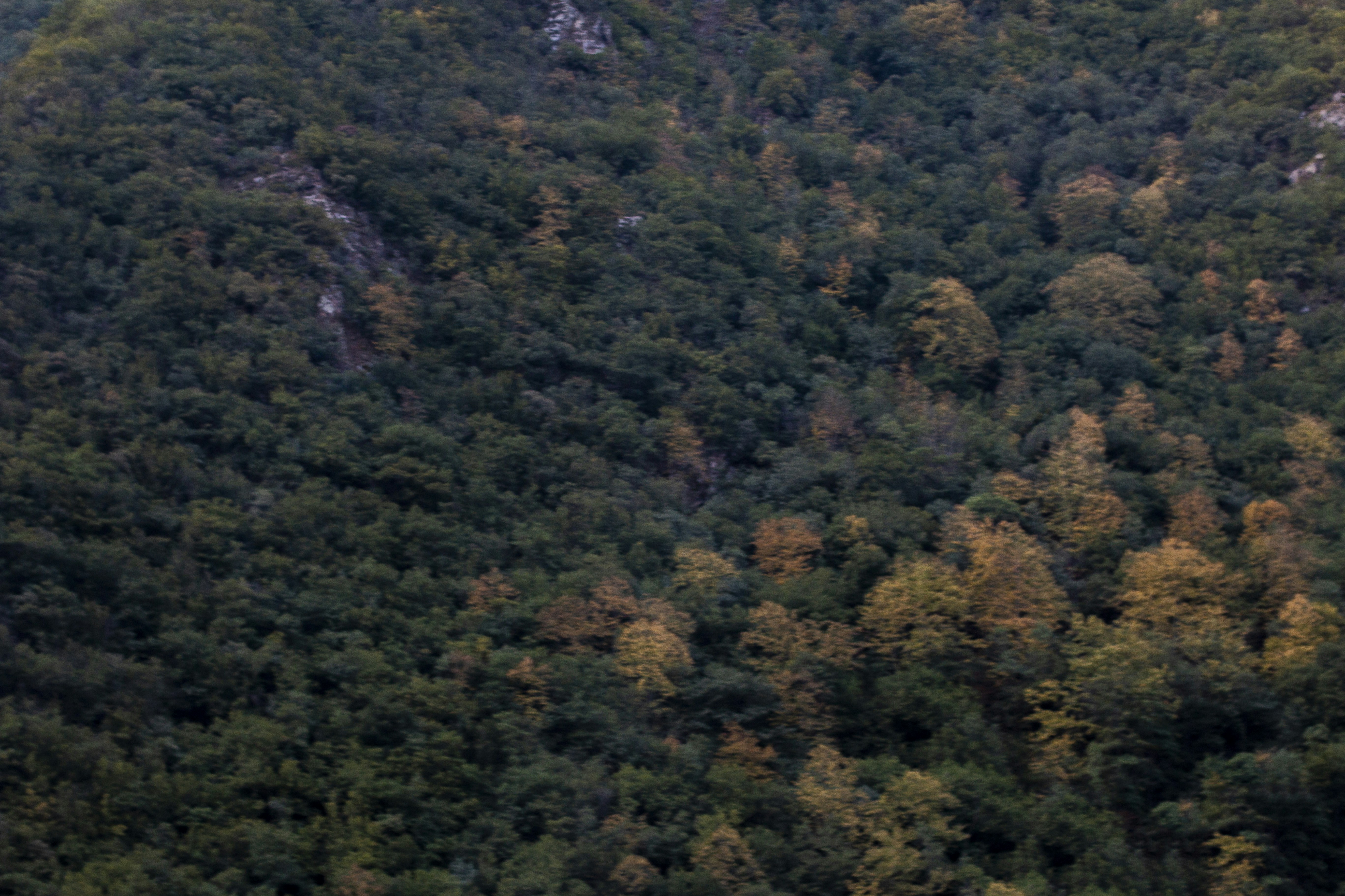 Photo by razipourjafari