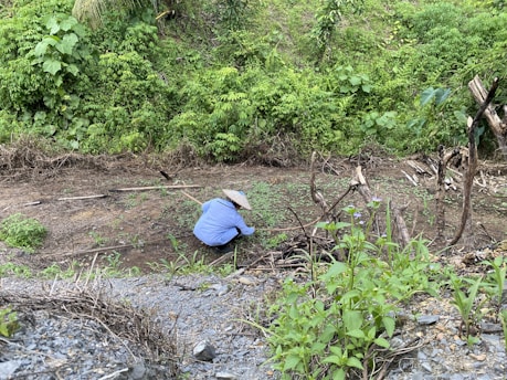 A person wearing a blue shirt and a conical hat is crouching down while working on a patch of soil in a rural area. The person is surrounded by dense green vegetation and some dried branches and stones on the ground. The surroundings appear lush and the scene seems quiet and serene.