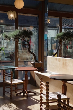 A cozy indoor space featuring wooden furniture including two small round tables and chairs with woven seats. Two bonsai trees are placed on wooden stands near the windows, allowing natural light to illuminate the area. The back wall consists of large glass windows offering a view of the outside.