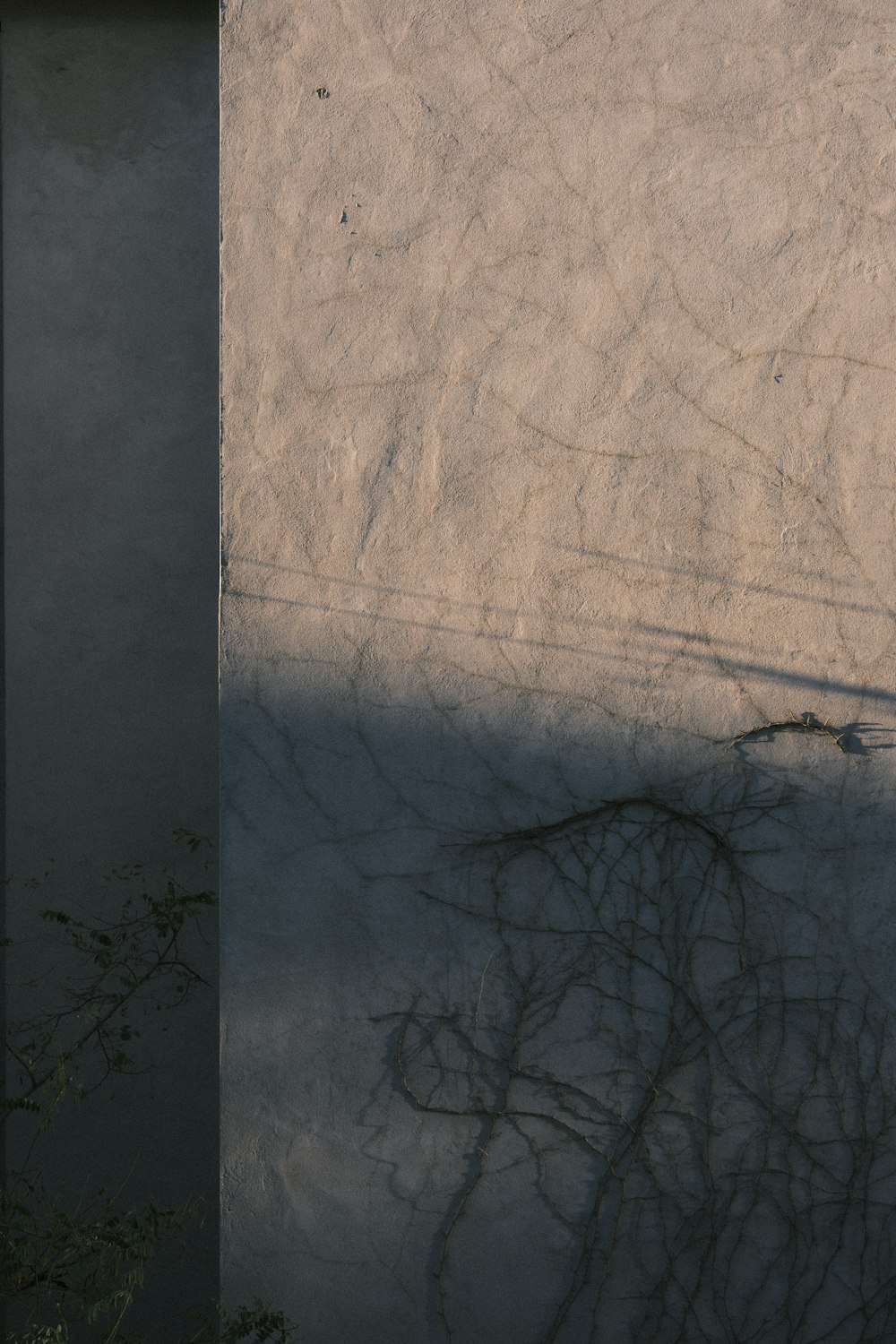 a shadow of a person on a skateboard