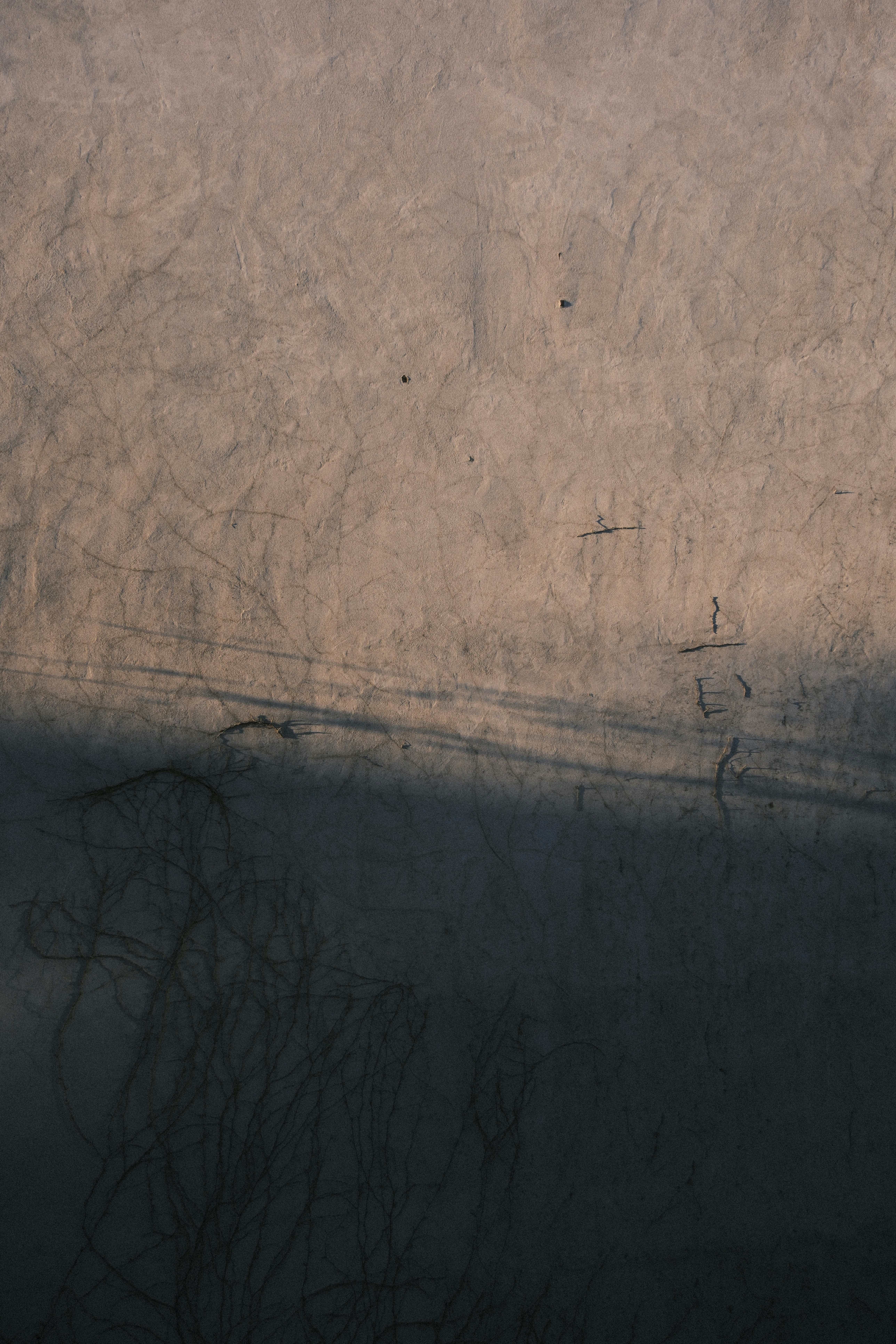 Photo by studiopizza