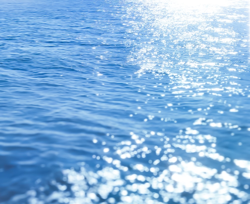 a view of a body of water from a boat