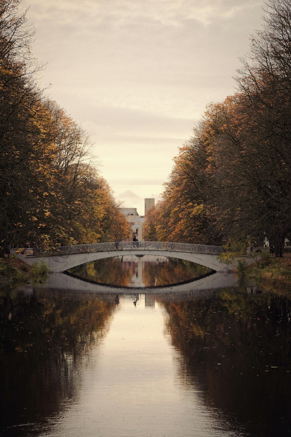 a bridge over a body of water surrounded by trees