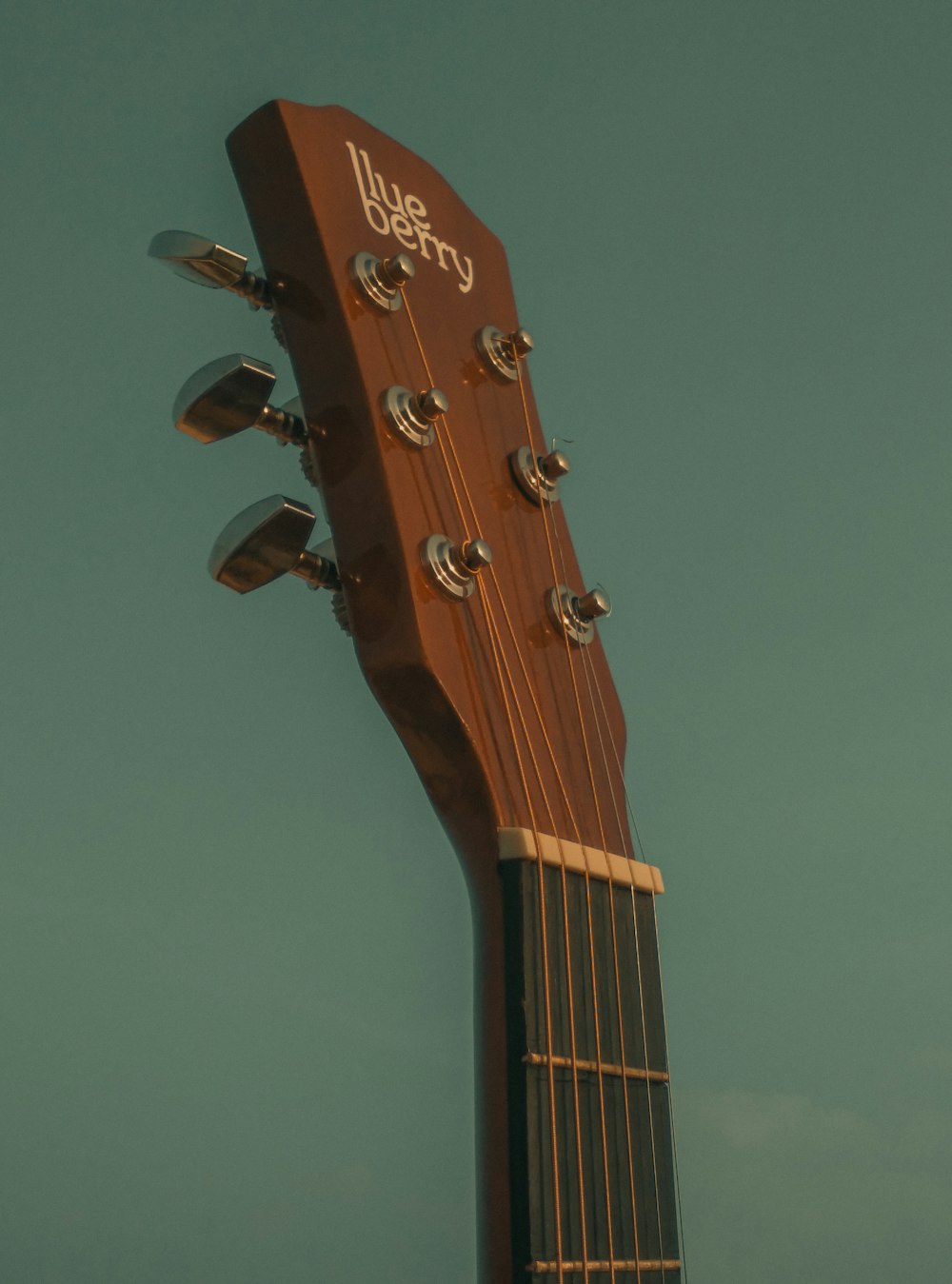 a close up of the heads of a guitar