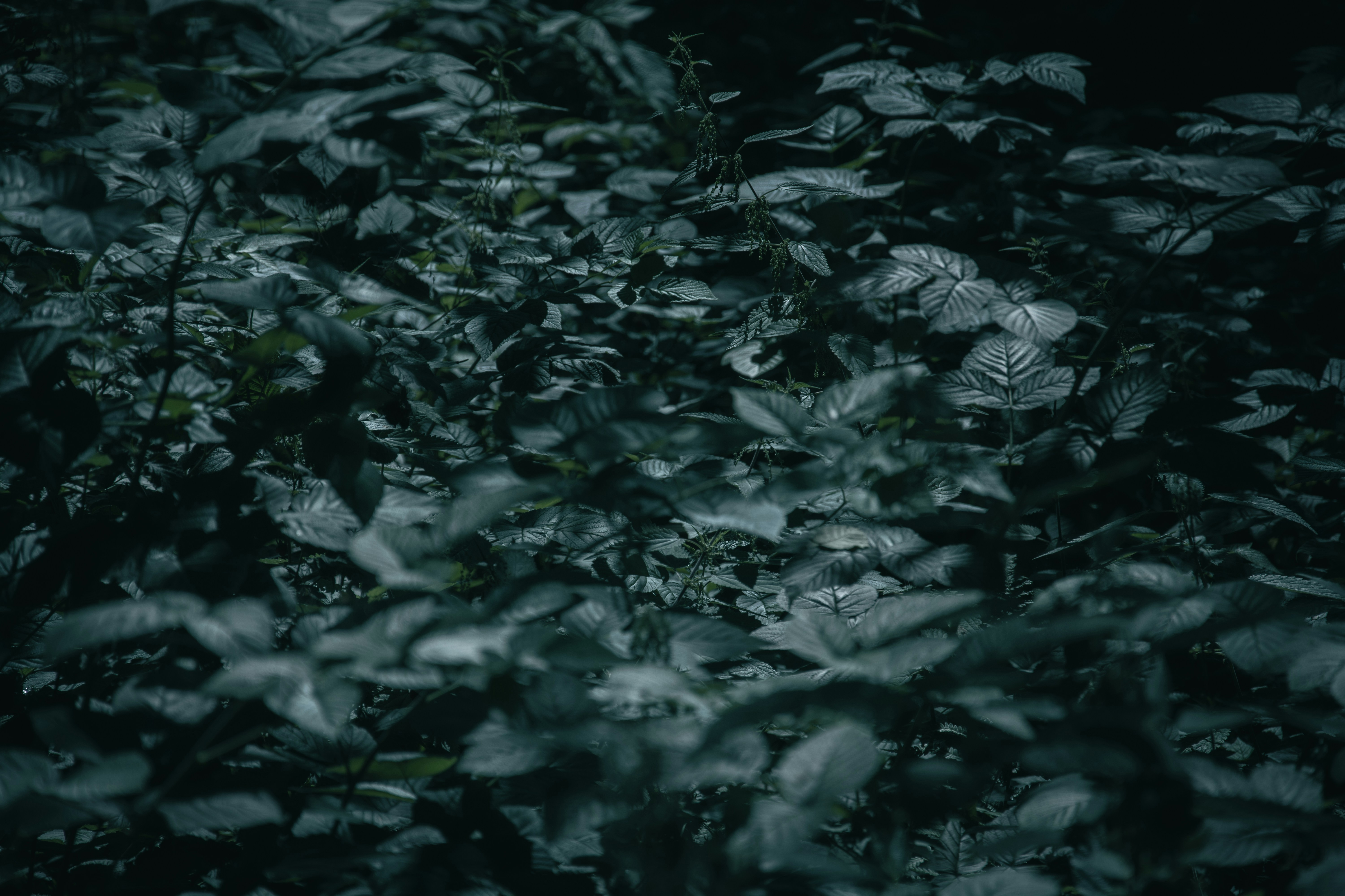 Photo by new_memel_photography