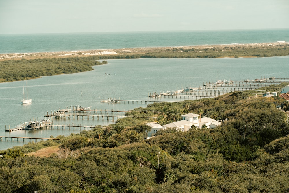 a body of water surrounded by trees and a bridge