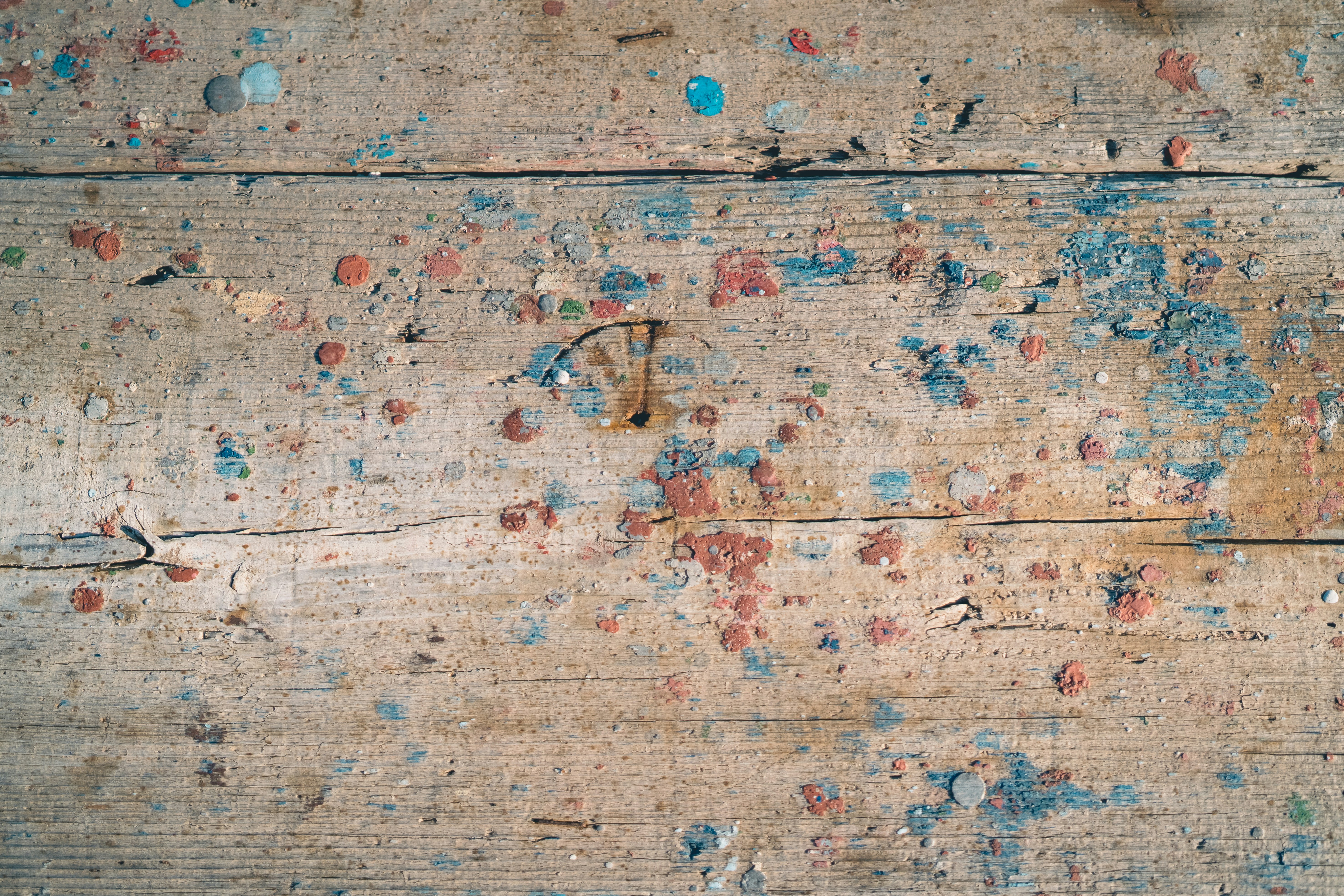 Photo by shimikumi32