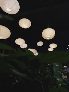 Bamboo Pendant Light
