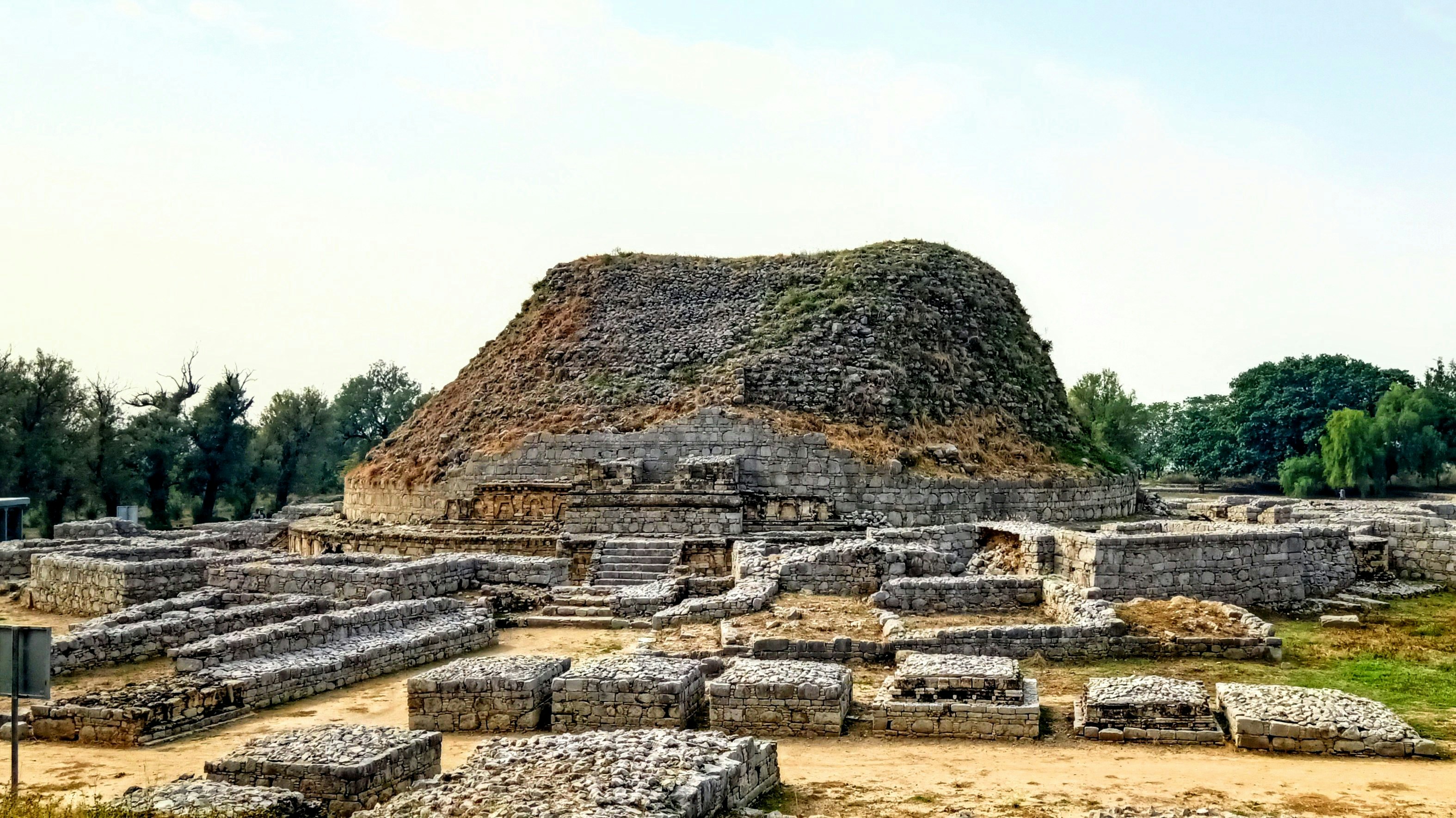 The Scientific Community's Evolving Perspective (image credits: unsplash)