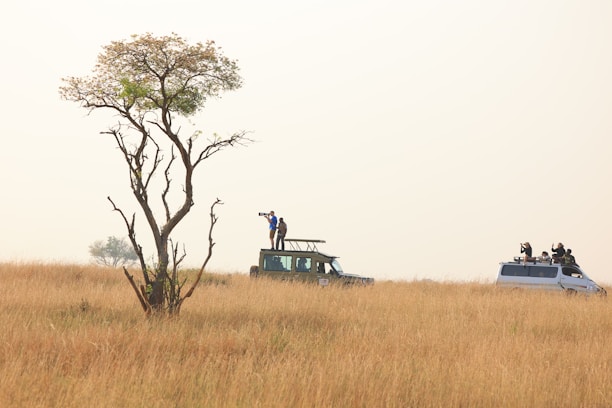 a safari vehicle with people on top of it in a field