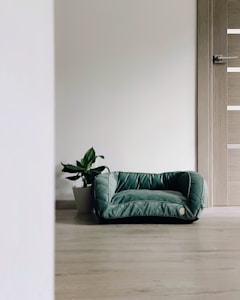 A minimalist room with a green pet bed placed on a light wooden floor next to a potted plant. The door in the background is made of light wood with a modern handle. The overall setting is clean and uncluttered.