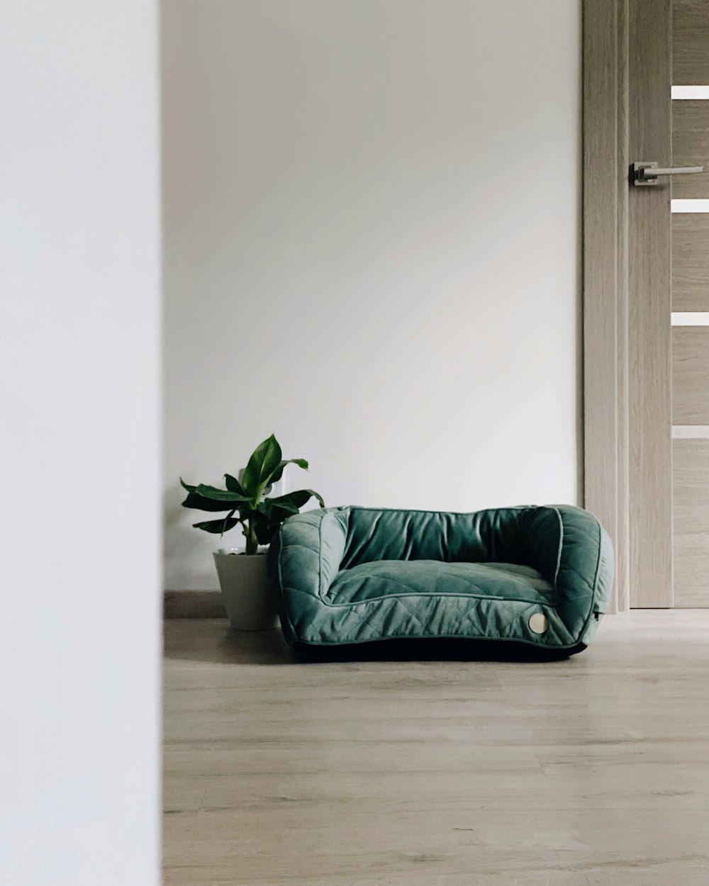 a green dog bed sitting in front of a door