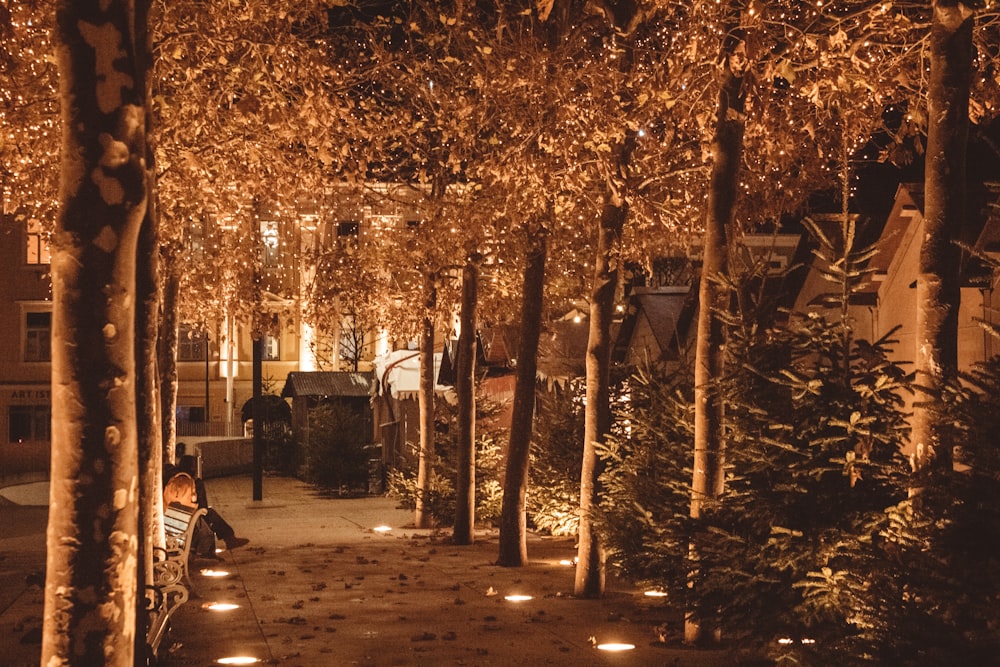 uma pessoa sentada em um banco em um parque à noite
