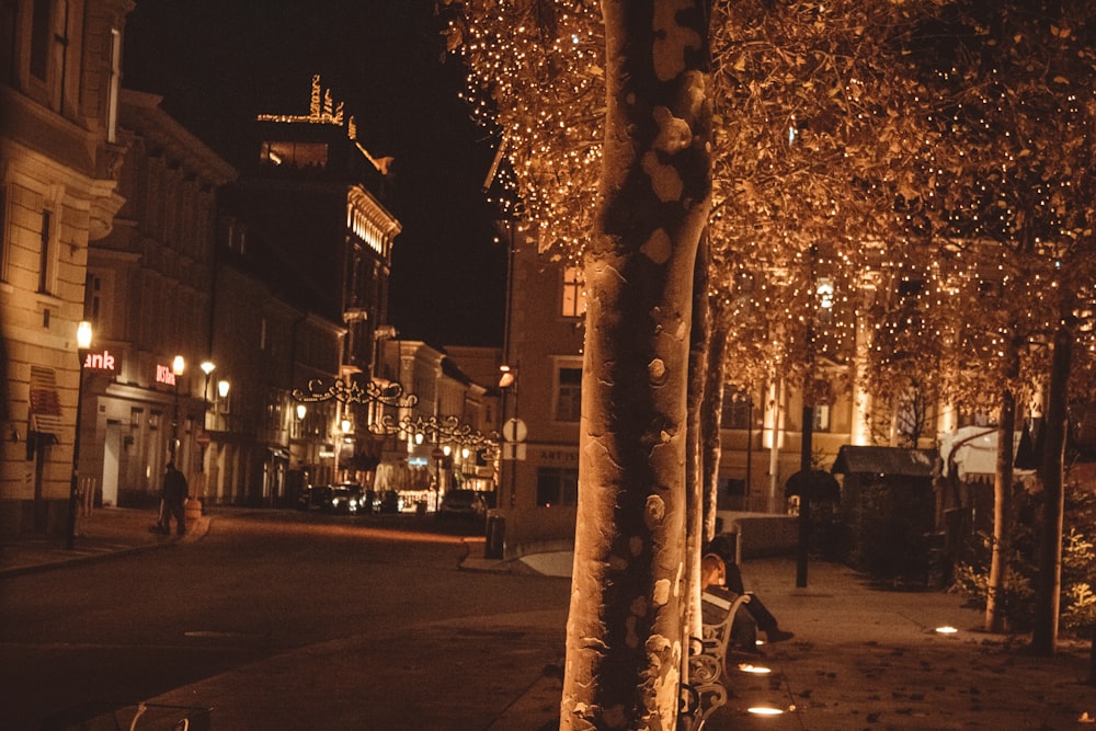 una calle de la ciudad por la noche con luces en los árboles