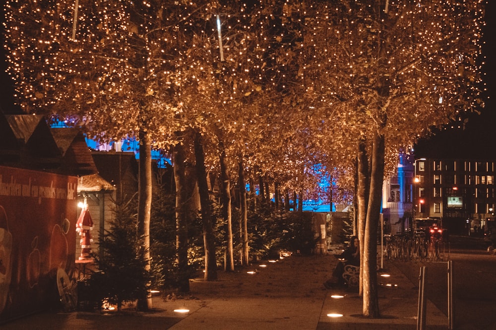 a row of trees that have lights on them