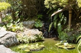 Peaceful outdoor garden space with smooth stones and flowing water.