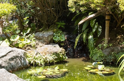 Peaceful outdoor garden space with smooth stones and flowing water.