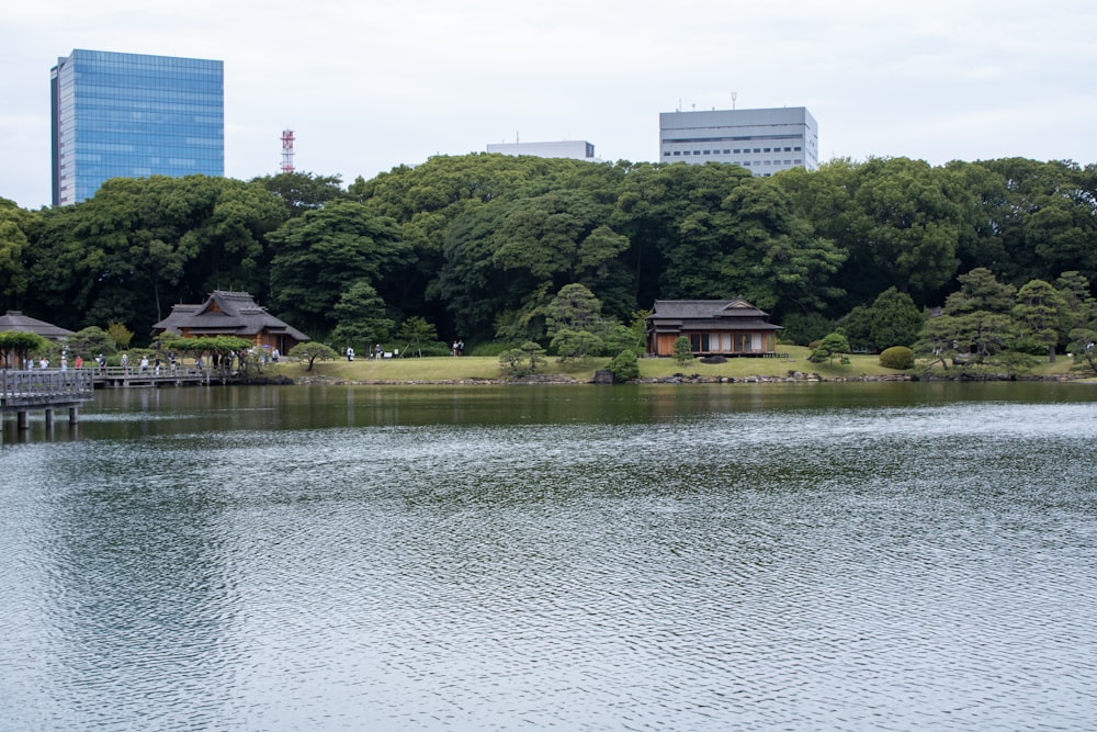 a body of water surrounded by trees and buildings