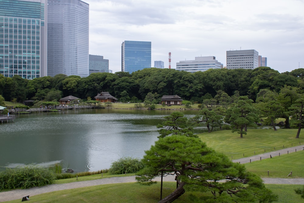 a lake surrounded by trees in a park