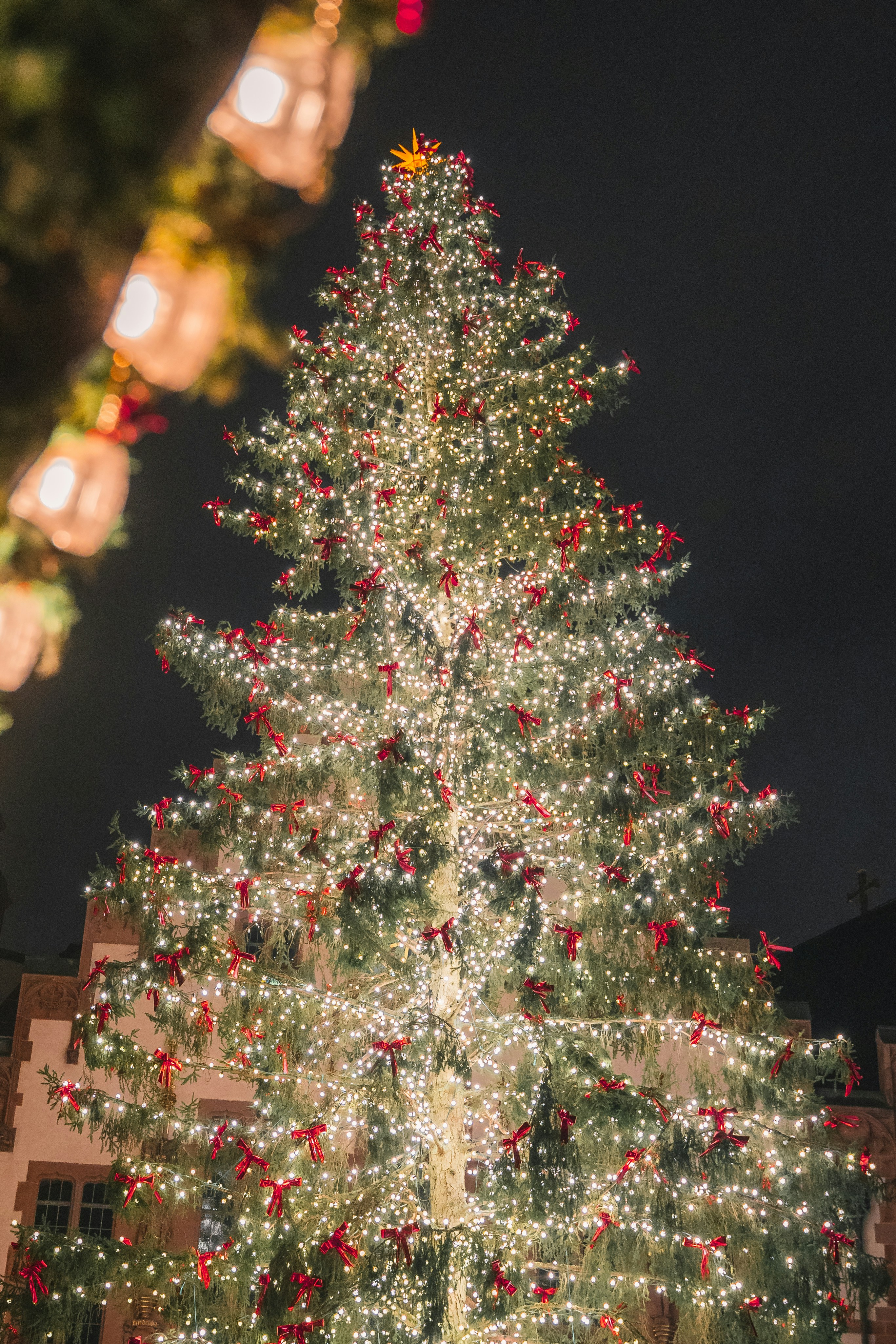 Photo by masoodaslami